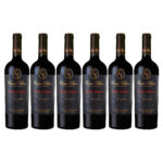 Casa Silva Gran Reserva Carmenere 750ml Kit 6 Unidades
